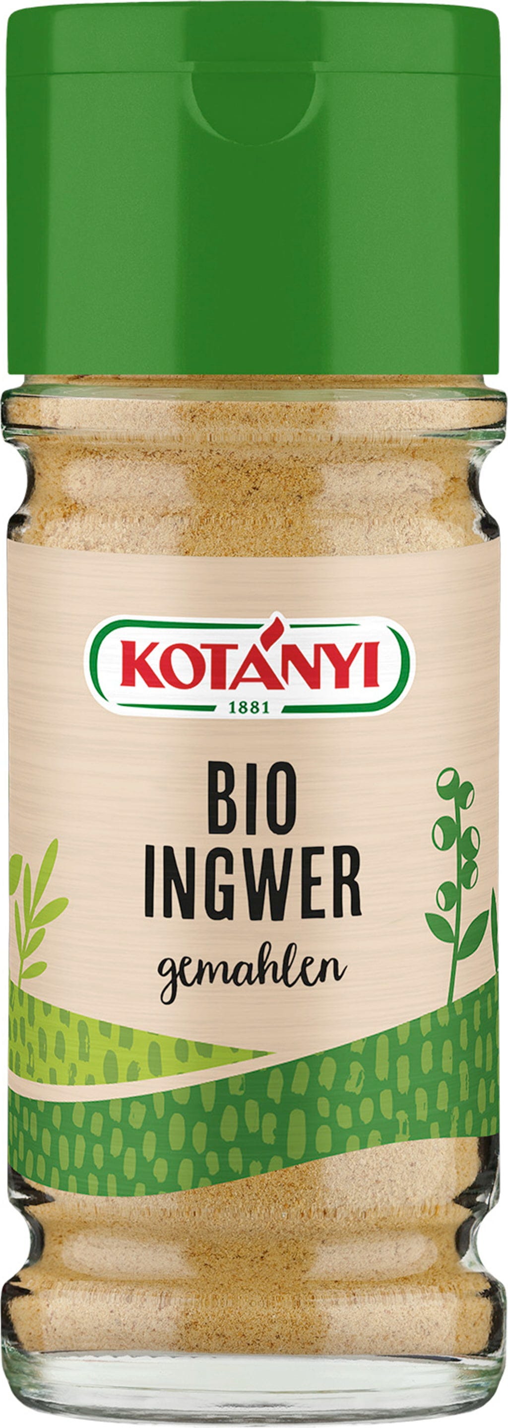KOTÁNYI BIO imbir mielony, 43 g