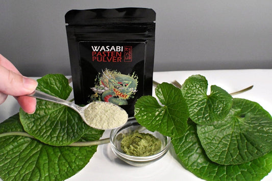 RYU Wasabi Pasta wasabi w proszku, 20 g